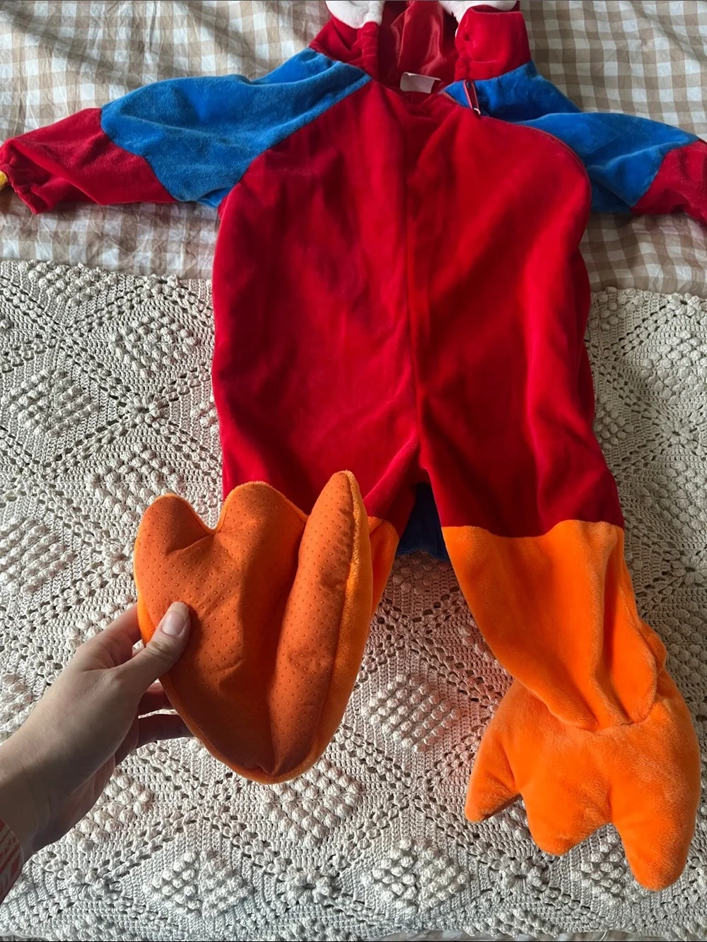 N/A macaw parrot